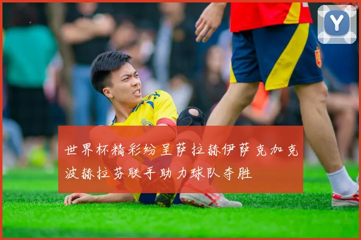 世界杯精彩纷呈萨拉赫伊萨克加克波赫拉芬联手助力球队夺胜